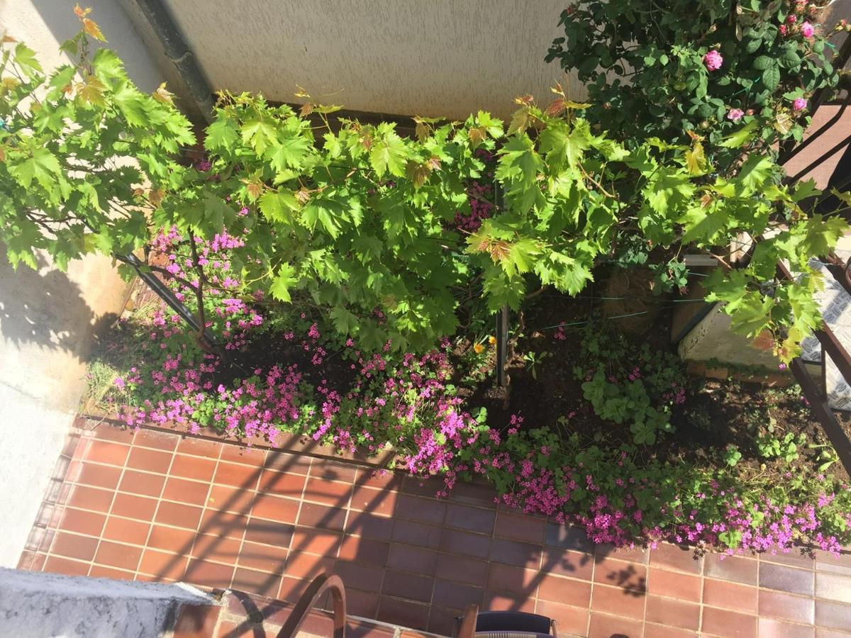Apartments Porec Beach Area Simo Екстериор снимка